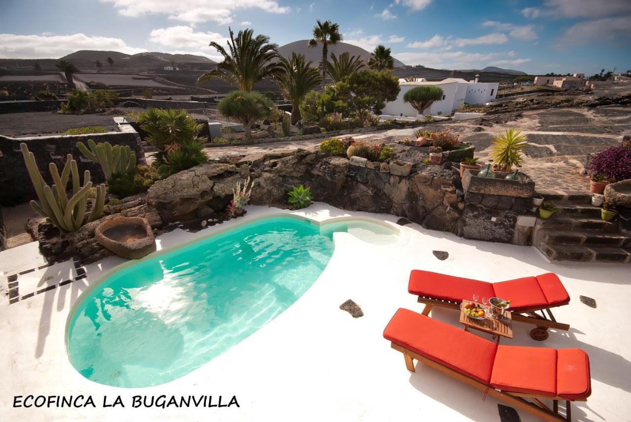 Ecofinca La Buganvilla (Adults Only) San Bartolomé Esterno foto